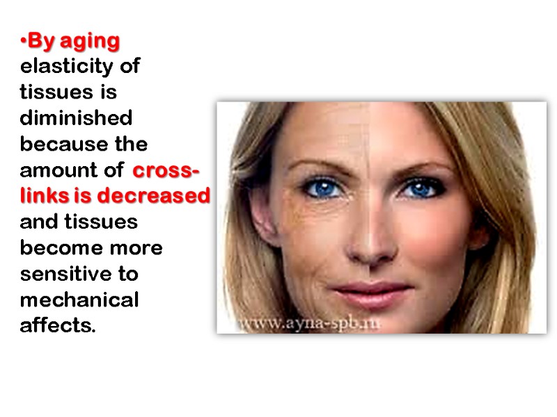 By aging elasticity of tissues is diminished because the amount of cross-links is decreased